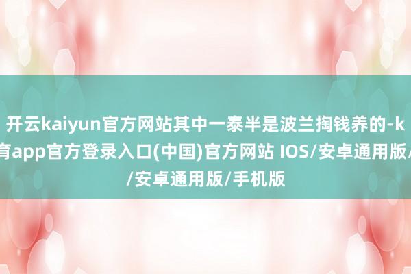 开云kaiyun官方网站其中一泰半是波兰掏钱养的-kai云体育app官方登录入口(中国)官方网站 IOS/安卓通用版/手机版